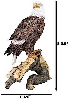 Ebros 875 Tall Realistic Bald Eagle Statue