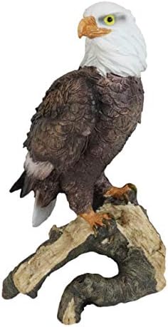 Ebros 875 Tall Realistic Bald Eagle Statue