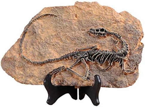 XINDAM Dinosaur Fossil Statue Home Decor