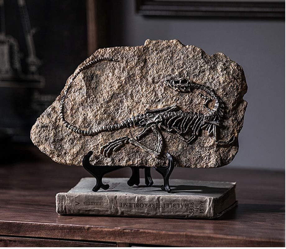 XINDAM Dinosaur Fossil Statue Home Decor