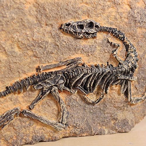 XINDAM Dinosaur Fossil Statue Home Decor