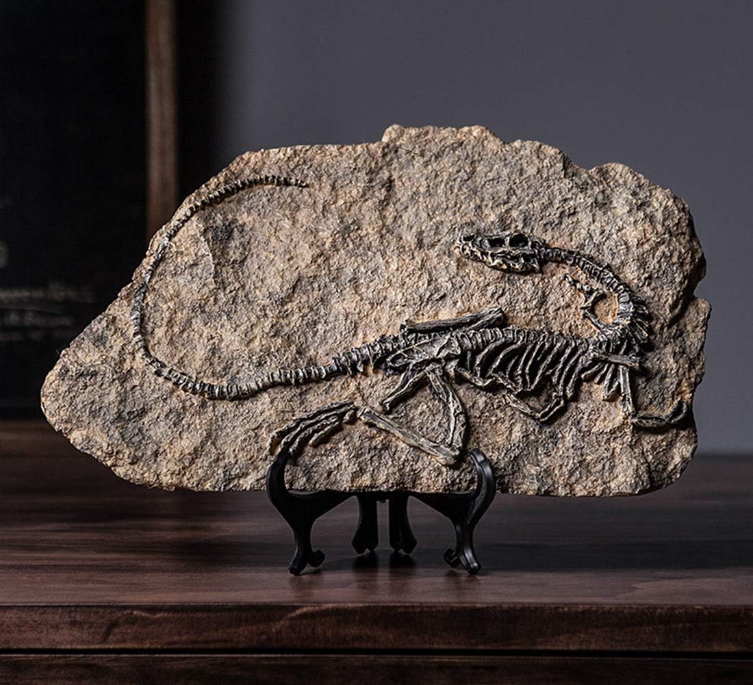 XINDAM Dinosaur Fossil Statue Home Decor