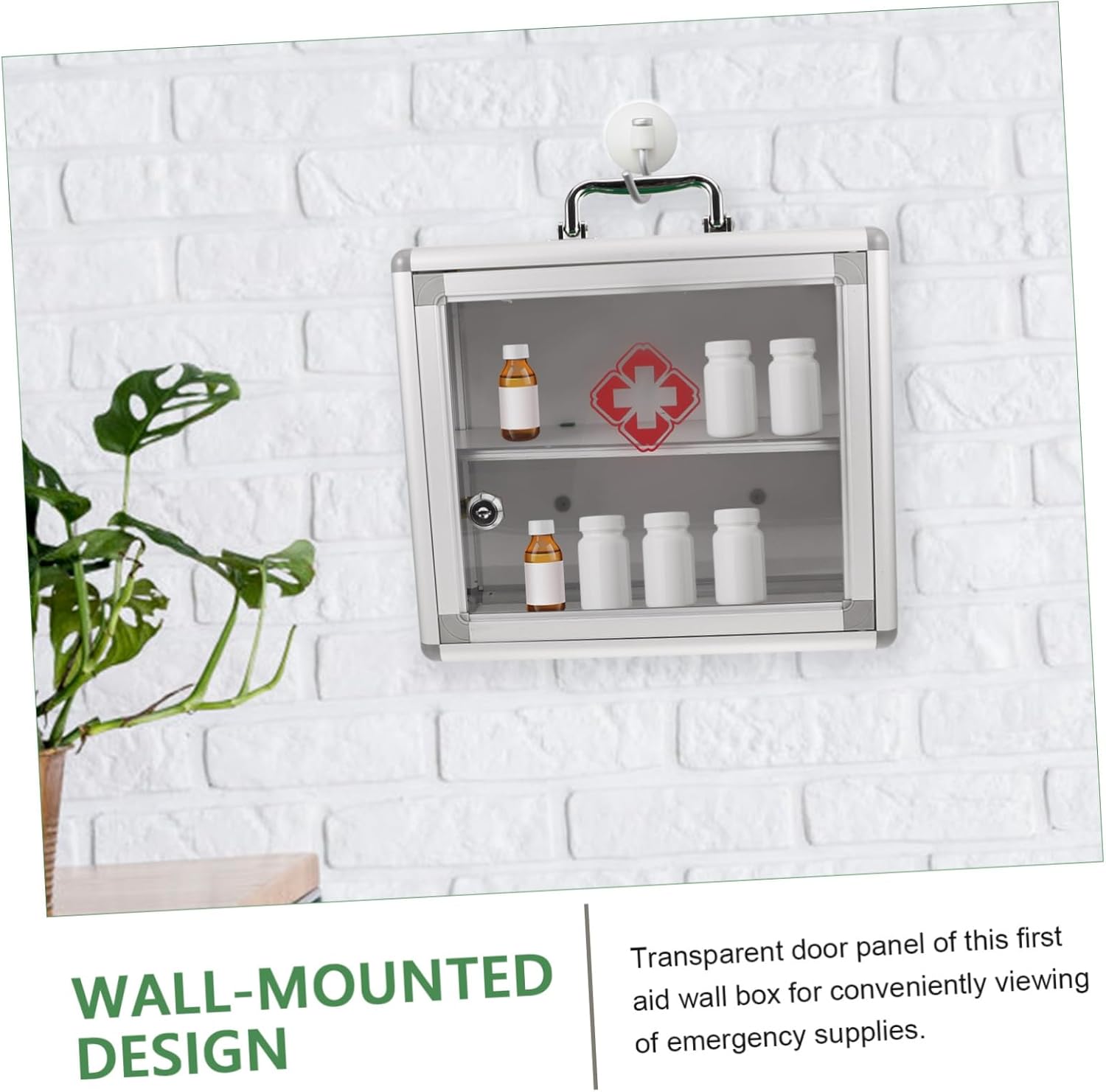 Alipis Transparent Wall Mount First Aid Cabinet