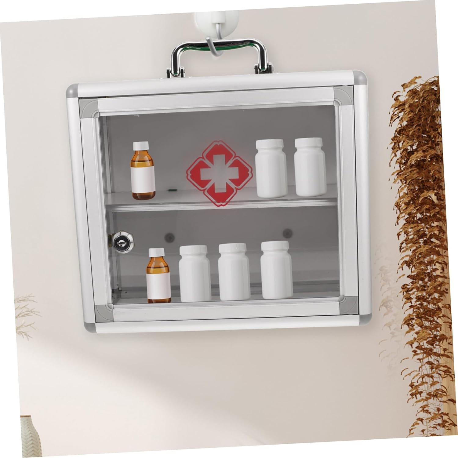 Alipis Transparent Wall Mount First Aid Cabinet